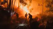 Türkiye'den İspanya'daki Orman Yangınlarına Havadan Destek