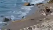 Zonguldak Filyos Sahili'nde Askeri İHA Bulundu: Geniş Güvenlik Önlemi Alındı