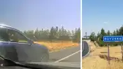 Diyarbakır'da Kuduz Vakası Haberine Giden Muhabirin Aracını Tarlaya Sürüklediler