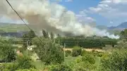 Muğla Seydikemer'deki Orman Yangını Kontrol Altına Alındı
