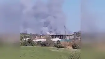 Beykoz'da Orman Yangını: Müdahale Sürüyor