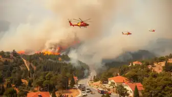 Muğla Marmaris'te Orman Yangını: Ekipler Harekete Geçti