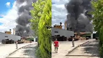 Sakarya'da Palet Fabrikasında Yangın: Can Kaybı Yaşanmadı