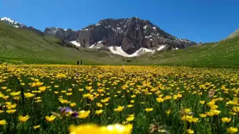 Munzur Dağları Eteklerindeki Merg Yaylası Doğaseverlerin İlgi Odağı Haline Geldi