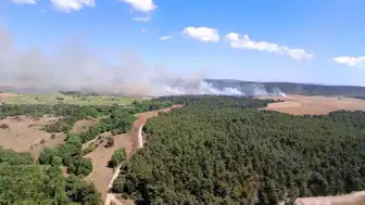 Çanakkale Eceabat'ta Tarım Arazisinde Başlayan Yangın Ormanlık Alana Sıçradı