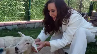 Oryantal Asena'nın Yeni Aşkı: İş İnsanı K.K. ile İlişki Yaşamaya Başladı