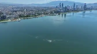 İzmir Körfezi'nde 14. Kez Kirlilik Tespit Edildi