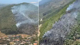 Balıkesir'in Burhaniye İlçesinde Orman Yangını: Müdahale Sürüyor
