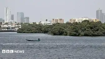 Pakistan'da Kargo Uçağı Kayboldu: Arama Çalışmaları Devam Ediyor