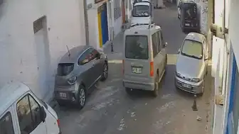 Muğla Menteşe'de Sürücü İki Kediyi Ezerek Kaçtı