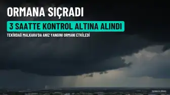 Tekirdağ Malkara'da anız yangını ormana sıçradı: 3 saatte kontrol altına alındı