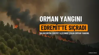 Edremit'teki Orman Yangınına İlişkin Soruşturmada Bir Kişi Tutuklandı