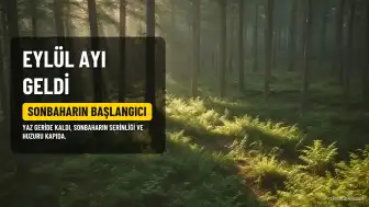 Eylül Ayı Karşılandı: Yaz Geride Kaldı, Sonbahar Başladı