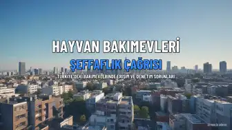 Hayvan Bakımevlerinde Şeffaflık ve Erişilebilirlik Çağrısı Yapıldı