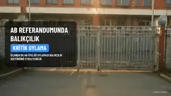 İzlanda'da AB üyeliği referandumu: Balıkçılık belirleyici olabilir