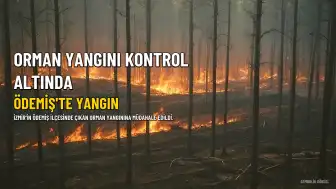 İzmir'in Ödemiş İlçesinde Orman Yangını Kontrol Altına Alındı