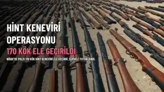 Niğde'de 170 Kök Hint Keneviri Ele Geçirildi, Şüpheli Tutuklandı