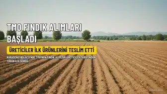 TMO, Karadeniz'de Fındık Alımlarına Başladı: Üreticiler İlk Ürünlerini Teslim Etti