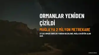 27 İlde Orman Sınırları Yeniden Belirlendi: Muğla'ya Yaklaşık 2 Milyon Metrekarelik Alan Tahsis Edildi