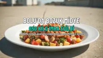 Bolu'da 650 Kilo Bozuk Midye Ele Geçirildi, Sorumlu Kişiye Ceza Uygulandı