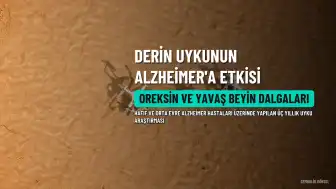 Derin Uykunun Alzheimer Üzerindeki Etkisi Araştırıldı