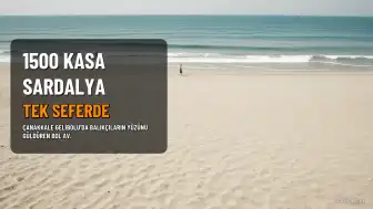 Gelibolu'da Balıkçılar Tek Seferde 1500 Kasa Sardalya Avladı
