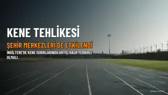 İngiltere'de Kene Alarmı: Şehir Merkezleri de Risk Altında