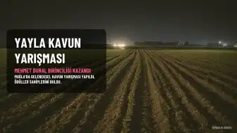 Karabağlar Yaylası'nda Kavun Yarışması'nda Birincilik Mehmet Dural'ın Oldu