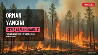 Muğla'da Orman Yangını: Geniş Çaplı Müdahale Başlatıldı