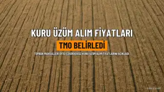 TMO'nun Çekirdeksiz Kuru Üzüm Alım Fiyatı Belirlendi