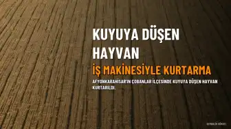 Afyonkarahisar'da Kuyuya Düşen Büyükbaş Hayvan İş Makinesiyle Kurtarıldı