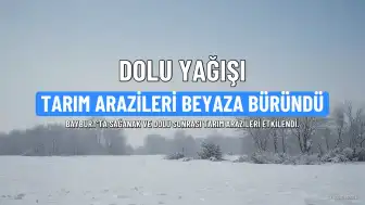 Bayburt'ta Sağanak ve Dolu Afeti: Tarım Arazileri Beyaza Büründü