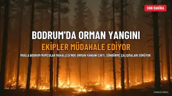 Bodrum'da Orman Yangını: Ekipler Alevlere Müdahale Ediyor