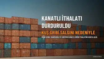 Hong Kong, Kuş Gribi Nedeniyle Danimarka ve ABD'den Kanatlı İthalatını Durdurdu