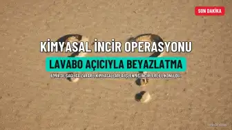 İzmir'de Lavabo Açıcıyla Beyazlatılmış İncir Operasyonu: 3 Ton Ürün Ele Geçirildi
