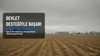 Mürşide Türk, Devlet Desteğiyle Girişimci Kadın Oldu: "Hanımağa" Lakabıyla Tanınıyor
