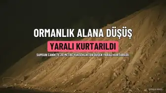 Samsun'da 20 Metre Yükseklikten Ormanlık Alana Düşen Kişi Kurtarıldı