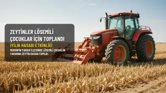 Tarsus'ta 'İyilik Hasadı' ile Toplanan Zeytinlerin Geliri Lösemili Çocuklara Bağışlanacak