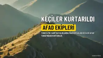 Tunceli'de Sarp Kayalıklarda Mahsur Kalan Keçileri AFAD Ekipleri Kurtardı
