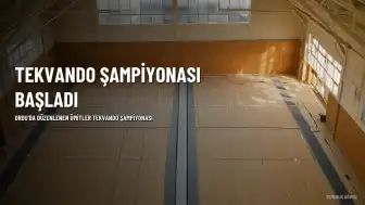 Türkiye Ümitler Tekvando Şampiyonası Ordu'da Başladı: 521 Sporcu Katıldı