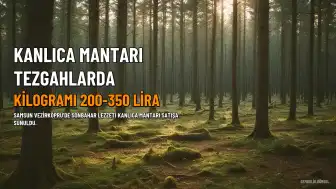 Vezirköprü'de Kanlıca Mantarı Kilogramı 200-350 Liradan Tezgahlardaki Yerini Aldı