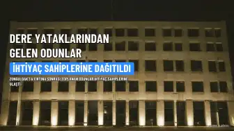 Zonguldak'ta Fırtınanın Sürüklediği Ağaçlar İhtiyaç Sahiplerine Dağıtıldı