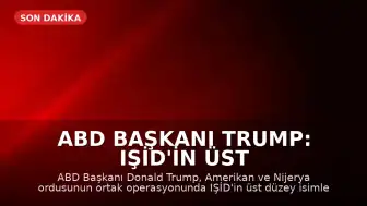 ABD Başkanı Trump: IŞİD'in üst düzey ismi Abu-Bilal al-Minuki Nijerya'da öldürüldü