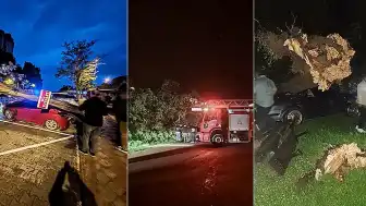 Bartın'da Fırtına: Ağaçlar Devrildi, Araçlarda Hasar Oluştu