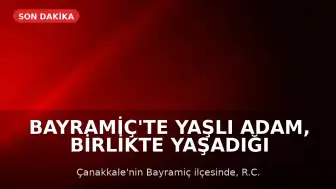 Bayramiç'te Yaşlı Adam, Birlikte Yaşadığı Kadını Tahta Sopayla Döverek Öldürdü
