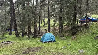 Bolu'da Ormana Yıldırım Düşmesiyle 3 Kişi Yaralandı