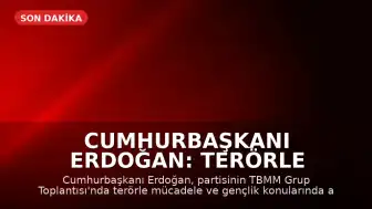 Cumhurbaşkanı Erdoğan: Terörle Mücadele Sürecini Tamamlayacağız