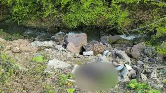 Düzce Yaylasında Dere Kenarında Bıçaklanmış Erkek Cesedi Bulundu