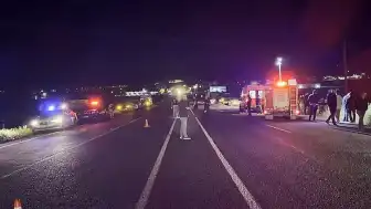 Elazığ'da Domuz Faciası: 5 Yaralı