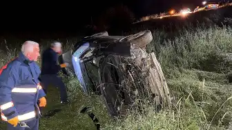 Elazığ'da Domuz Faciası: 5 Yaralı